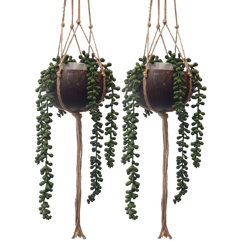 Pair of Coconut Shell Hanging Plant Pot Holders