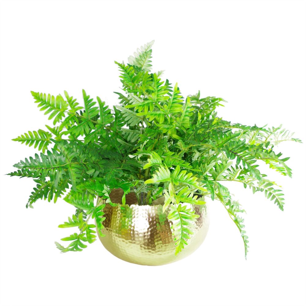 Leaf Large Metal Planter Bowl — Hammered Gold — Curvy Edge