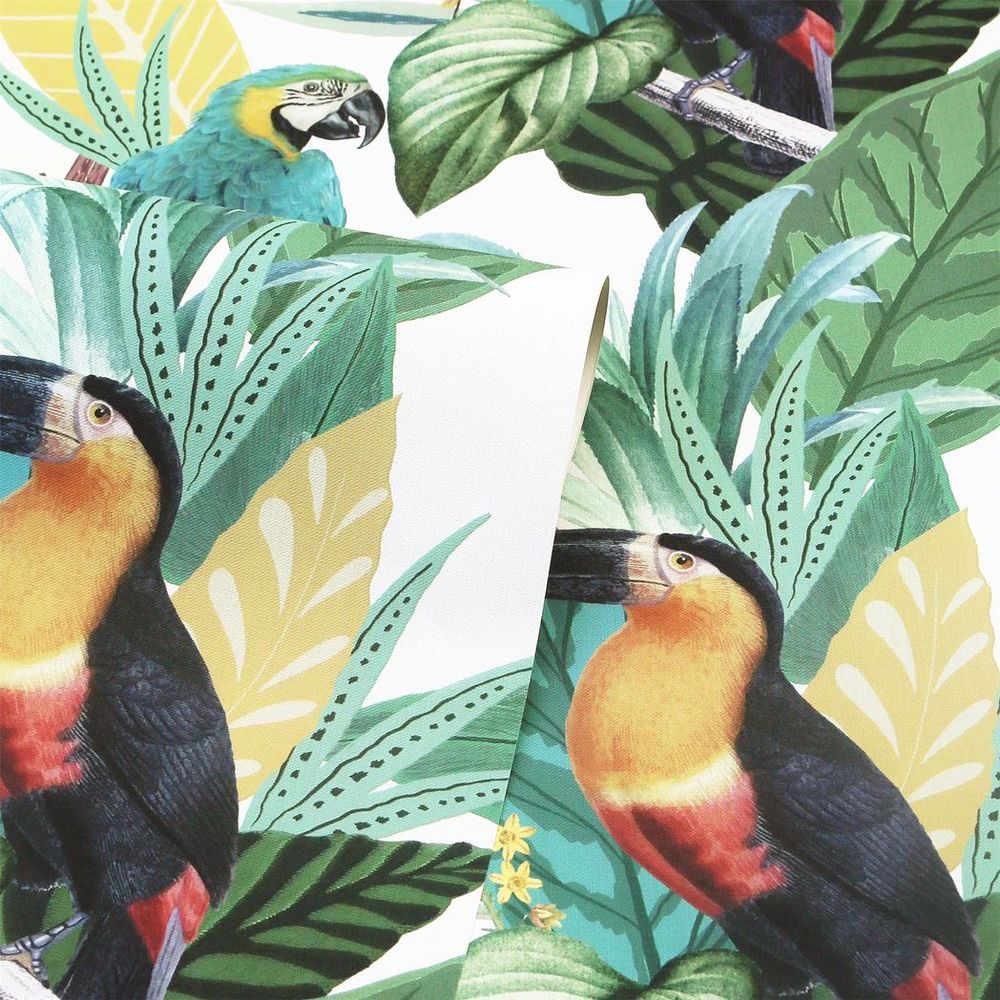 Toucan Jungle Wallpaper