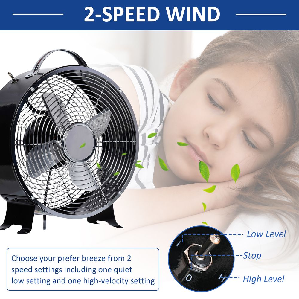 Electric Fan