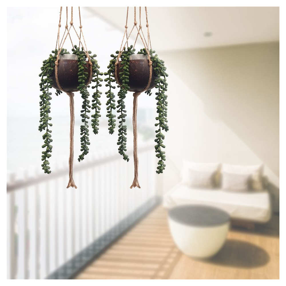 Pair of Coconut Shell Hanging Plant Pot Holders