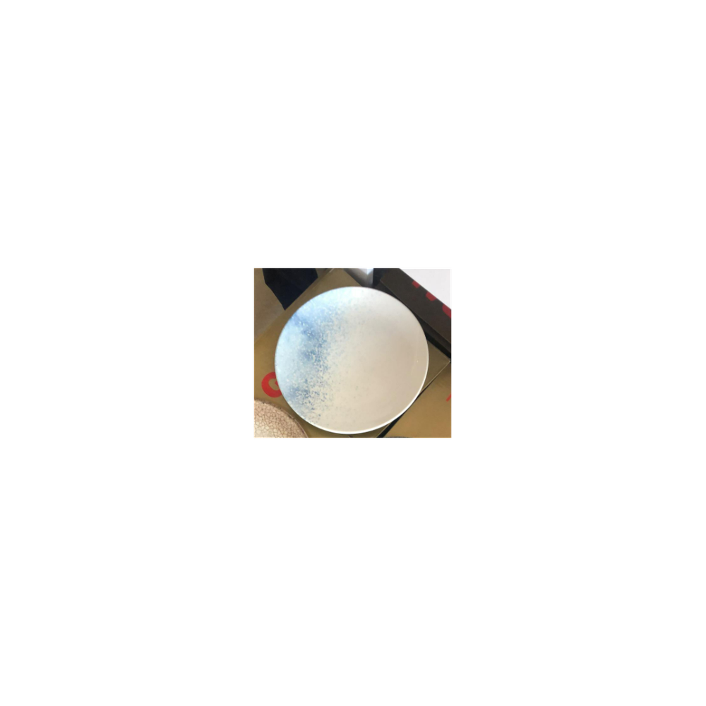 Dinner Plate Blue White Gural