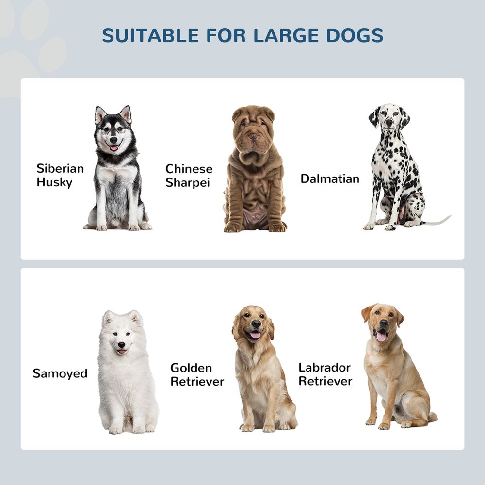 Raised Dog Bowls for Large Dogs  — White